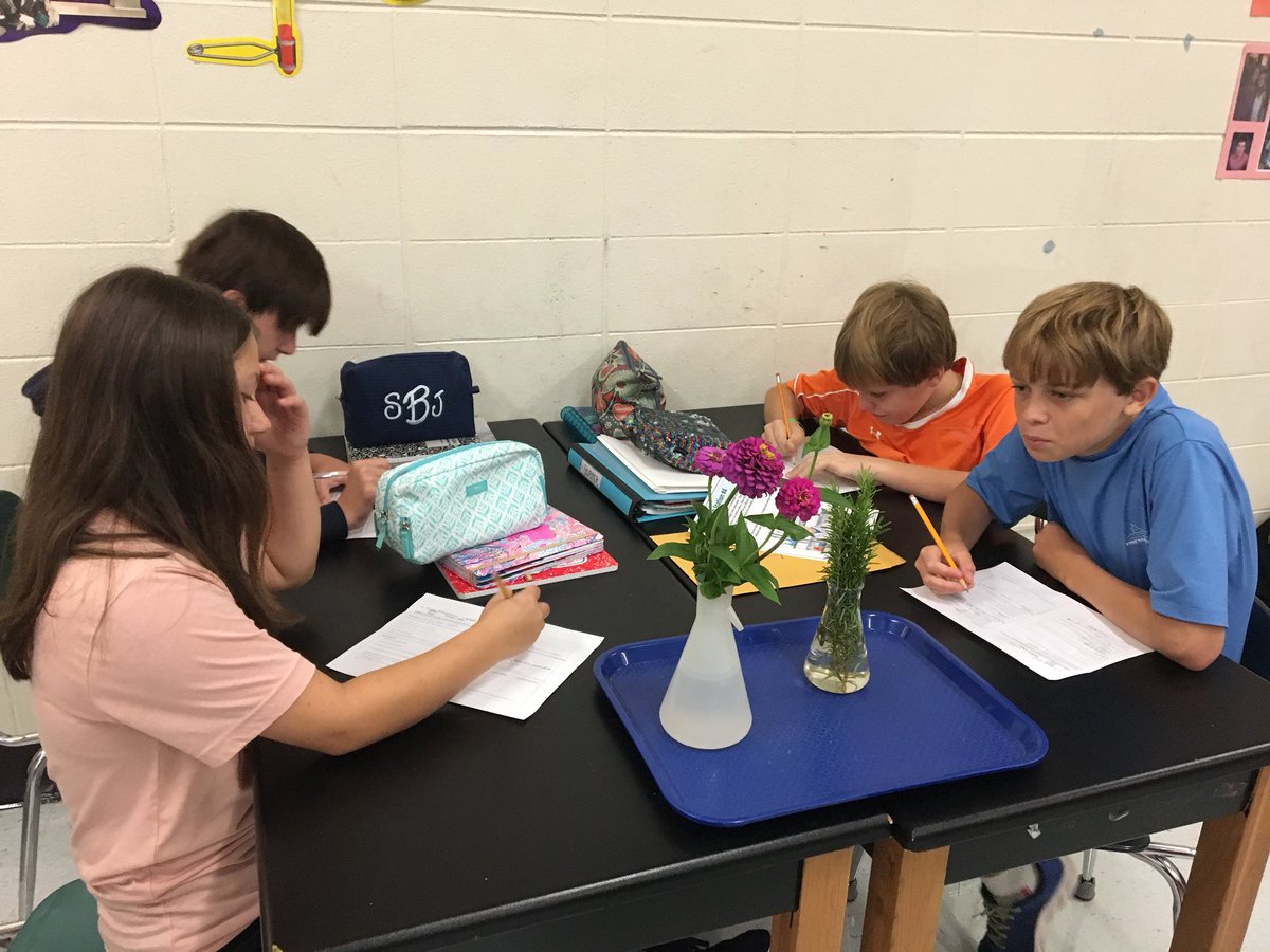 farrarpizitz's tweet photo. Young scientists engaging in a “Science Chat” @pizitzmiddle #pizitzlearns https://t.co/tDjyuPmnYT