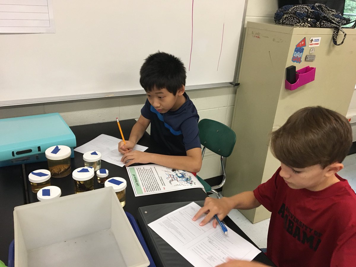 farrarpizitz's tweet photo. Young scientists engaging in a “Science Chat” @pizitzmiddle #pizitzlearns https://t.co/tDjyuPmnYT
