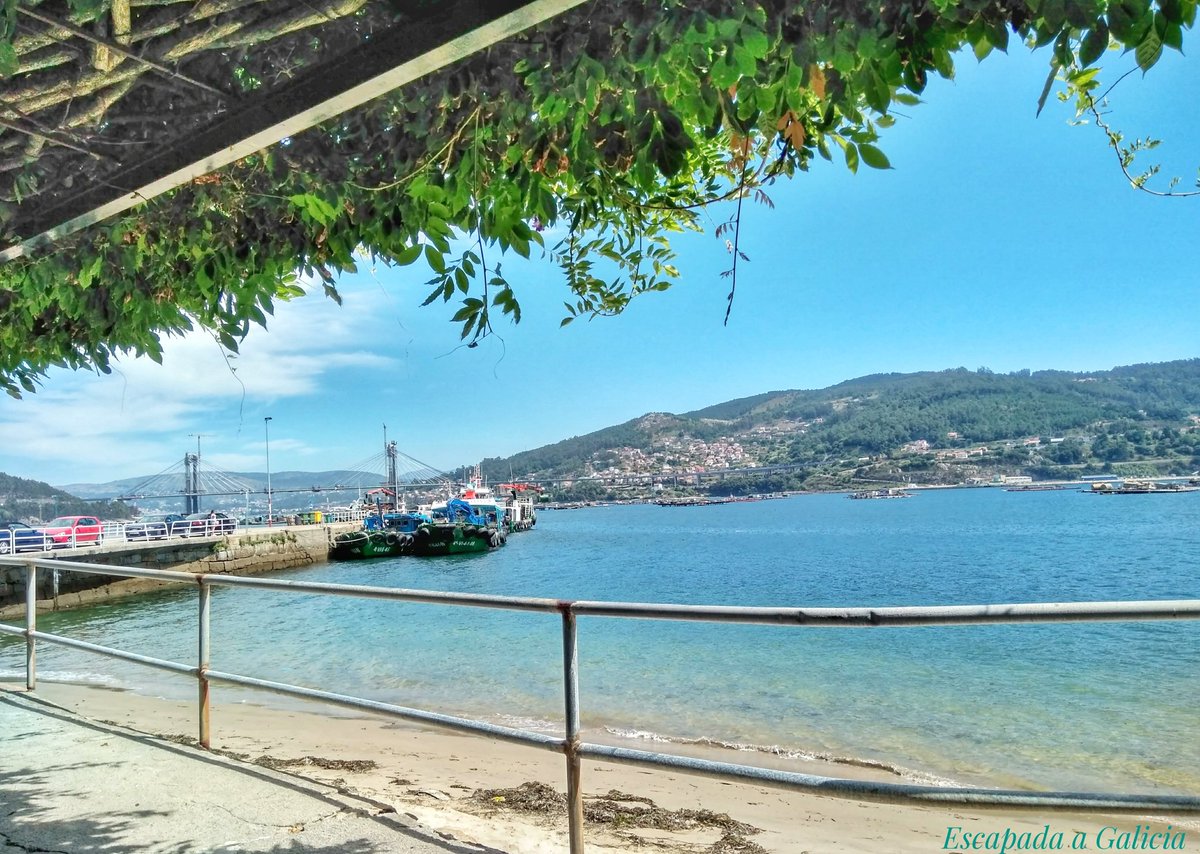 GaliciaEscapada's tweet image. Vistas da #pontederande desde o Porto de #domaio 👌

#puentederande #rande #riadevigo #riasbaixas #descubreasriasbaixas #descobregalicia #galiciamola #galiciacalidade #galifornia #vigo #igersvigo #igerspontevedra #igersgalicia #total_galicia #naturaleza_galicia #EscapadaaGalicia