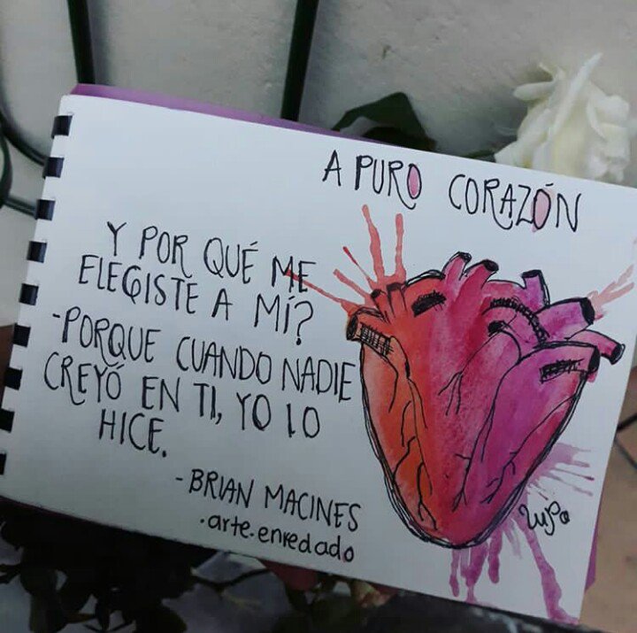BrianMacines's tweet photo. @BrianMacines 

#ApuroCorazon https://t.co/JONfsxCOgk