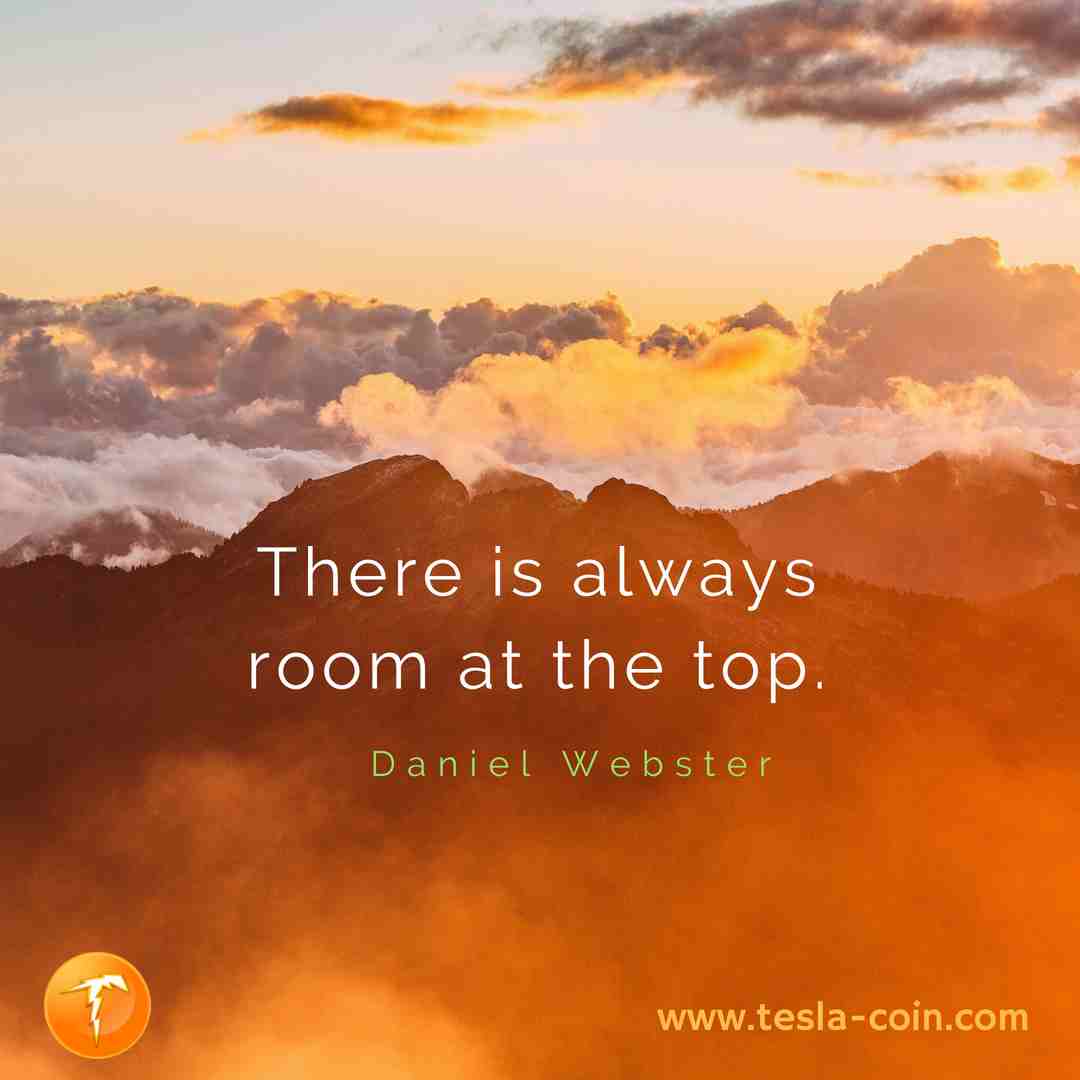 TeslaStarter tweet media