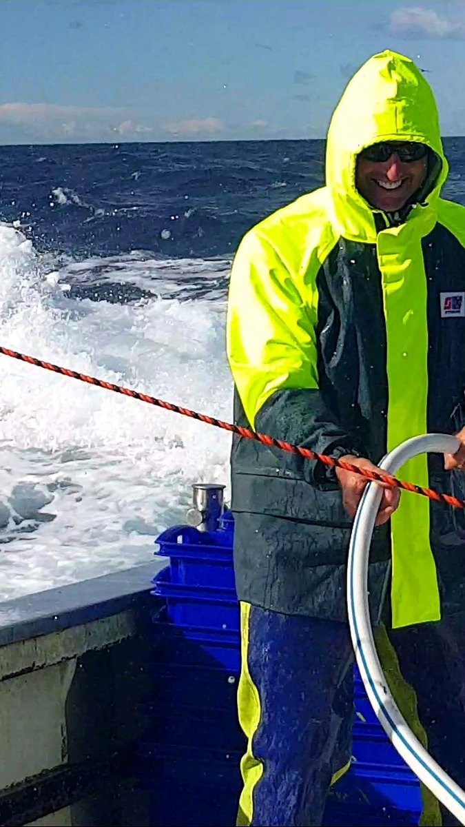 Stormline tweet media