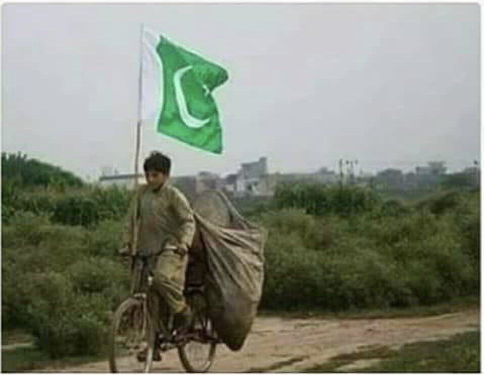 sakiali7's tweet image. The most beautiful expression of freedom &amp;amp; Love♥️.#HappyPakistan.