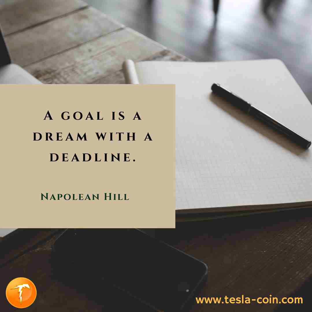 TeslaStarter tweet media