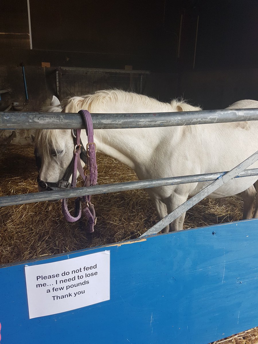 I know the feeling horse!