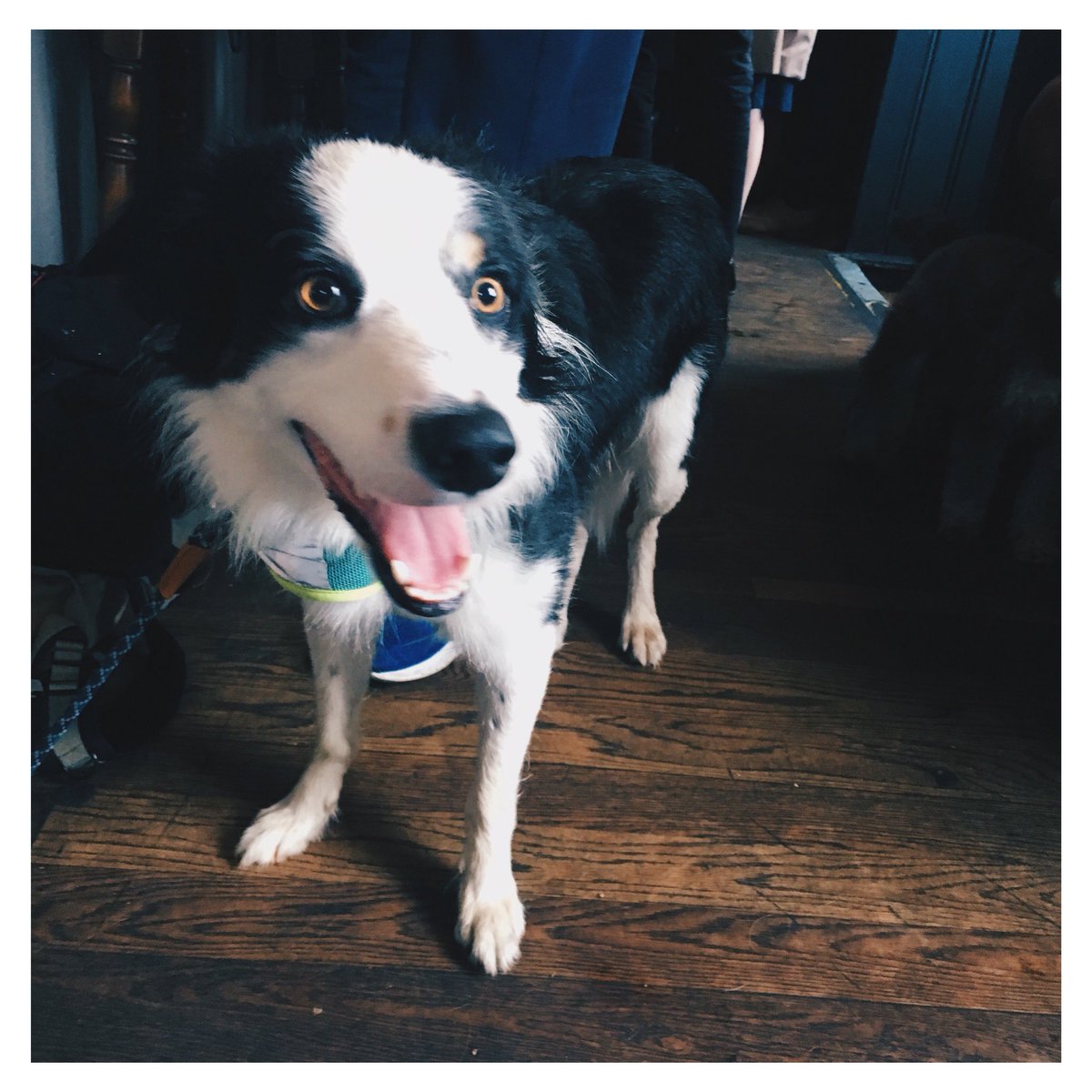 The Mill, Cambridge tweet media