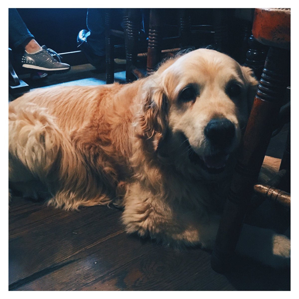 The Mill, Cambridge tweet media