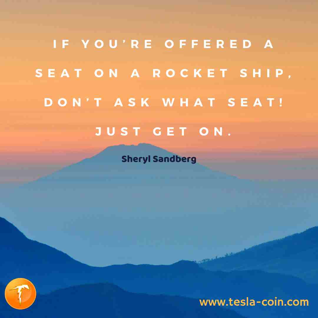 TeslaStarter tweet media