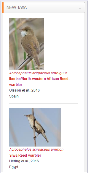 HBW Alive tweet media