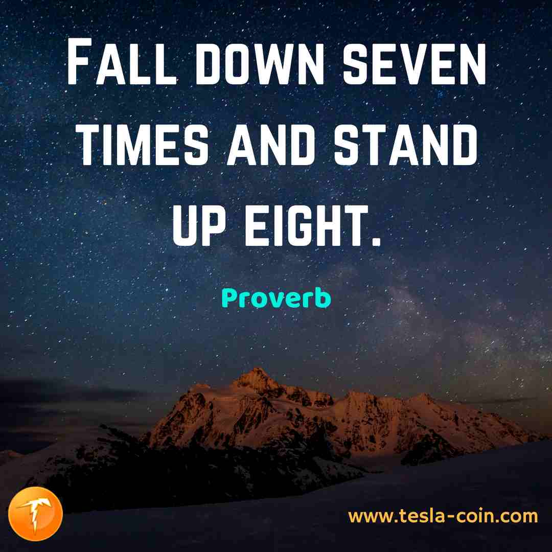 TeslaStarter tweet media