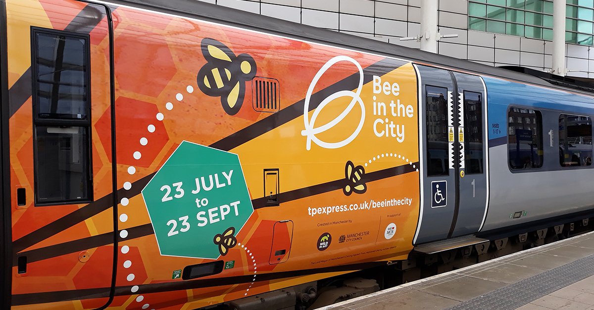 TPExpressTrains's tweet photo. To celebrate our involvement in #beeinthecitymcr we have decorated one of our trains. Look out for this on our network and please share if you see it!

@beeinthecitymcr https://t.co/nHfWuPXyYE