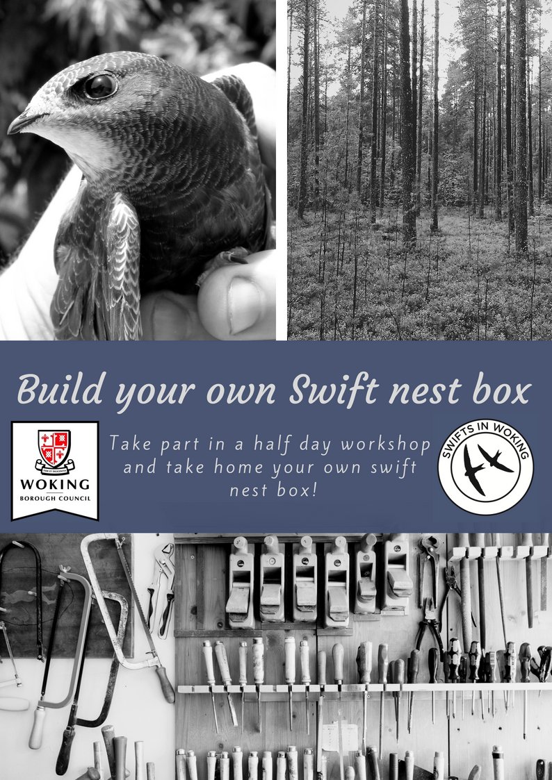 bunceyola's tweet photo. Fantastic news for swifts in #Woking! Two workshops in September open to anyone living in the Borough of Woking. Build your own swift box and take it home. Places still available. @SwiftsInWoking will arrange installation too! 
@SurreyBirdNews https://t.co/up7uDkZsgO