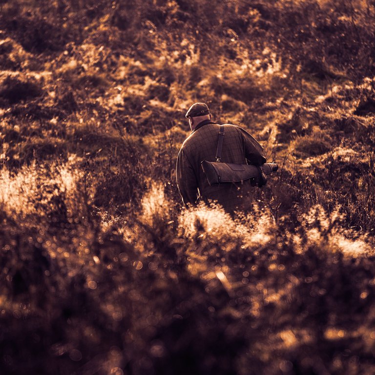 Are you ready to handle Britain’s wild Northern moorlands and inconsistent weather? #WelcomeToOurCountry

Check out our guide here:ow.ly/dKLK30lhSRj