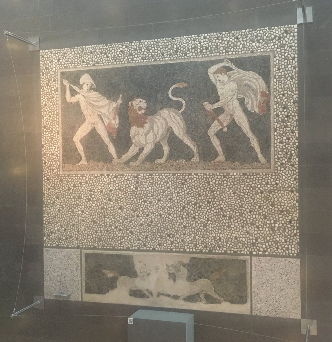 Carolyn_on_X's tweet photo. For #InternationalLionDay here are some from #Macedonia #Greece - a lion gutter spout from the palace at #Pella, the Pella lion hunt pebble mosaic (possibly featuring #Alexander) &amp; the Lion of Amphipolis, a funerary monument https://t.co/6tonqved0P