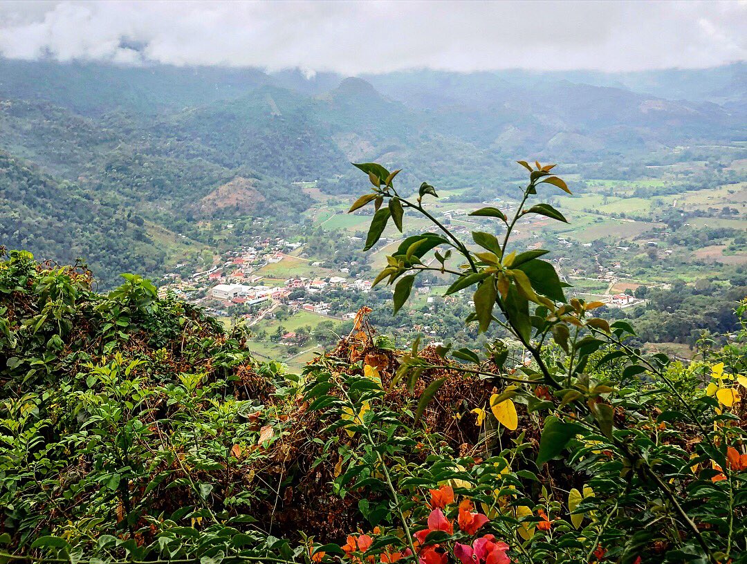 MocinaCoffee's tweet photo. This is the type of morning view that we could get used to. See you soon Guatemala. Happy Friday everyone, the weekend is right around the corner! 🌞@Guatemalacoffee 
.
.
#Productivity #Experiences #Inspiration #Ideas #Planet #Utility #Casual #People #Accountability #Time #Coffee https://t.co/Fnfu0M3kZV