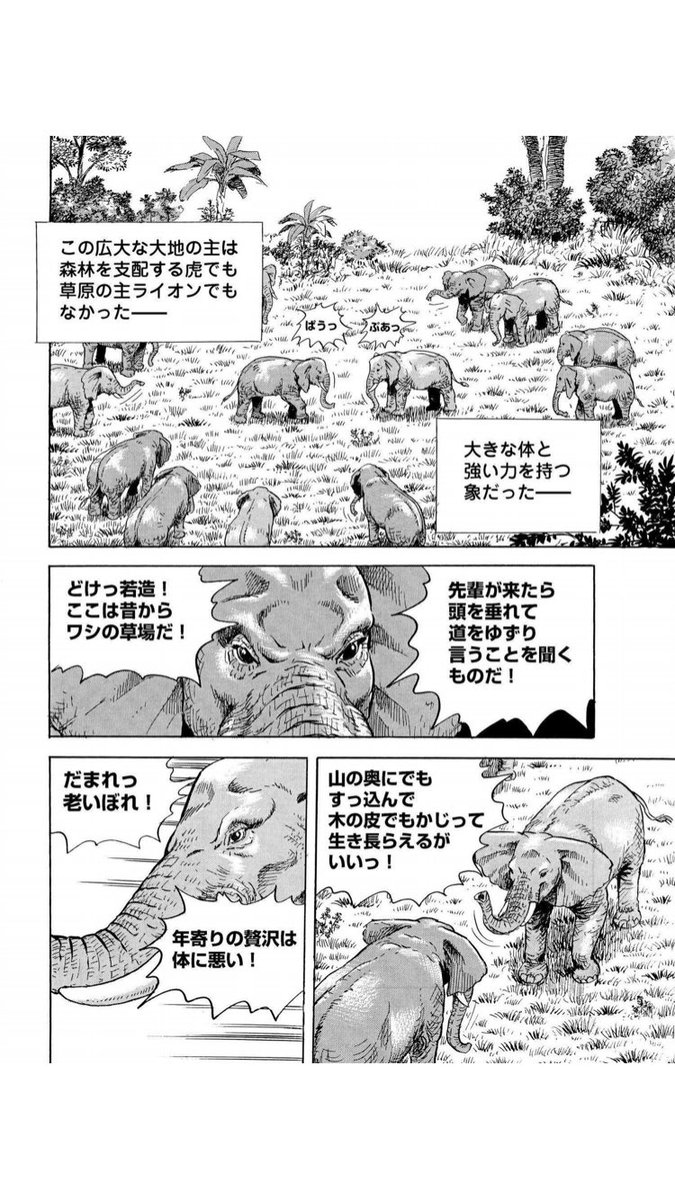 最高すぎるだろ 