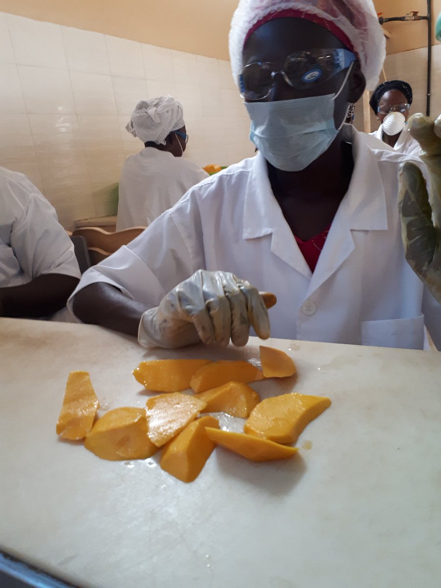 mansourafall's tweet photo. C'est la saison des #mangues! Visite de #ONUFemmes #Senegal à NdameLo (#Diender) pour voir comment ces braves #femmes s'activent dans la transformation des fruits et nous faire goûter à leur célèbres mangues séchées !! Stay tuned !! #SunuMbay #Thies #WomenEmpowerment https://t.co/BjuHeW0vR8