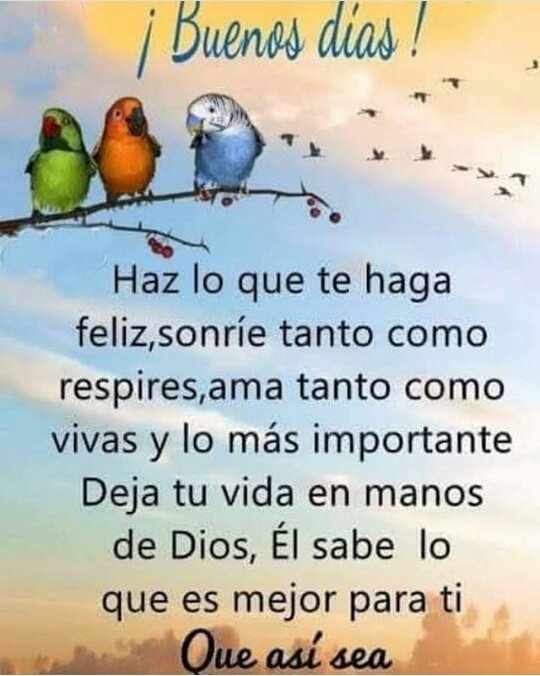 Despierta con gratitud y el resto del día verás abundancia.
Feliz día 😊 🙌  ☕😘