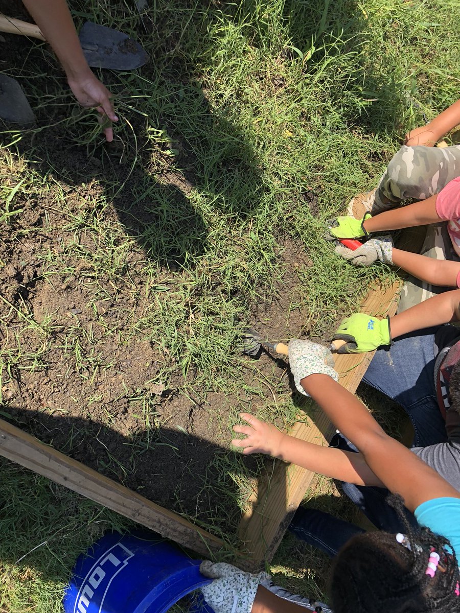 BledsolesClass's tweet photo. Preparing our bed and exploring the garden with a scavenger hunt. One of my kids just said “I could do this all day!” #gardenbasedlearning @sewaddel @scomorrison @lifelabtweets https://t.co/VfSSormBN1