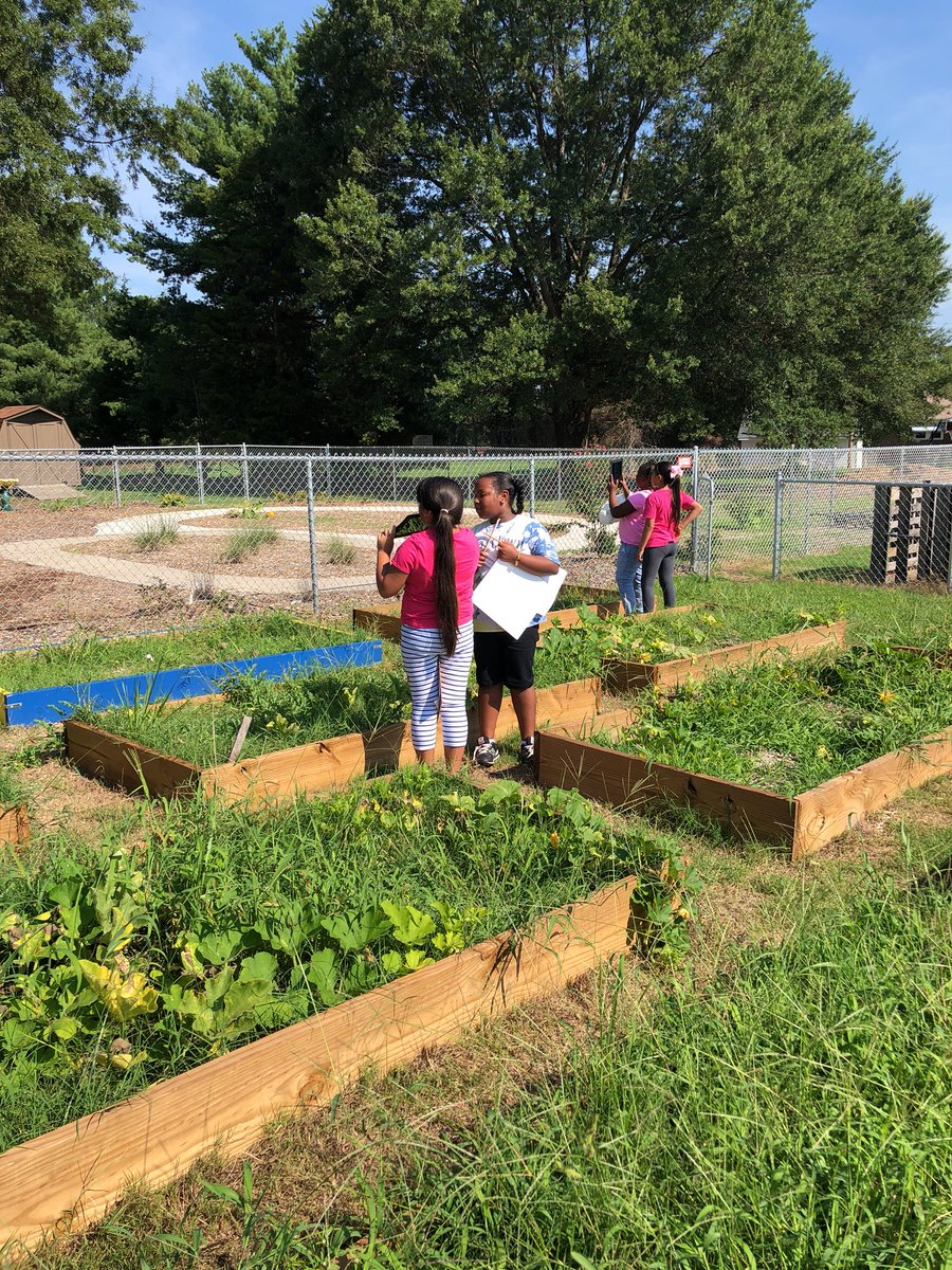 BledsolesClass's tweet photo. Preparing our bed and exploring the garden with a scavenger hunt. One of my kids just said “I could do this all day!” #gardenbasedlearning @sewaddel @scomorrison @lifelabtweets https://t.co/VfSSormBN1