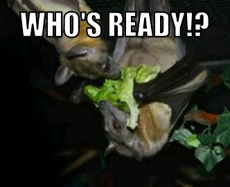 Cahoots Ultimate tweet media