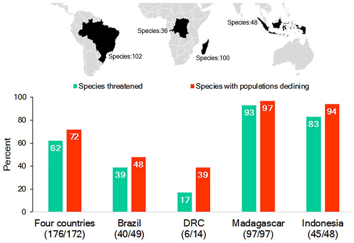 LydiaMHopper's tweet photo. Paul Garber, ASP distinguished primatologist, describes the vital importance of conserving primates, and how best to prioritize efforts: the majority of primate species reside in four countries: https://t.co/rVJLc8X0BF @thePeerJ @ASPvoice #ASPSATX2018 https://t.co/1NSMYUMHXx