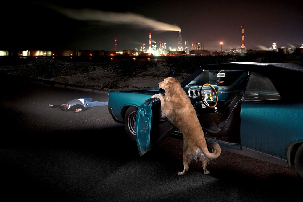 Never chew and drive.
.
.
#conceptart #photography #dogday