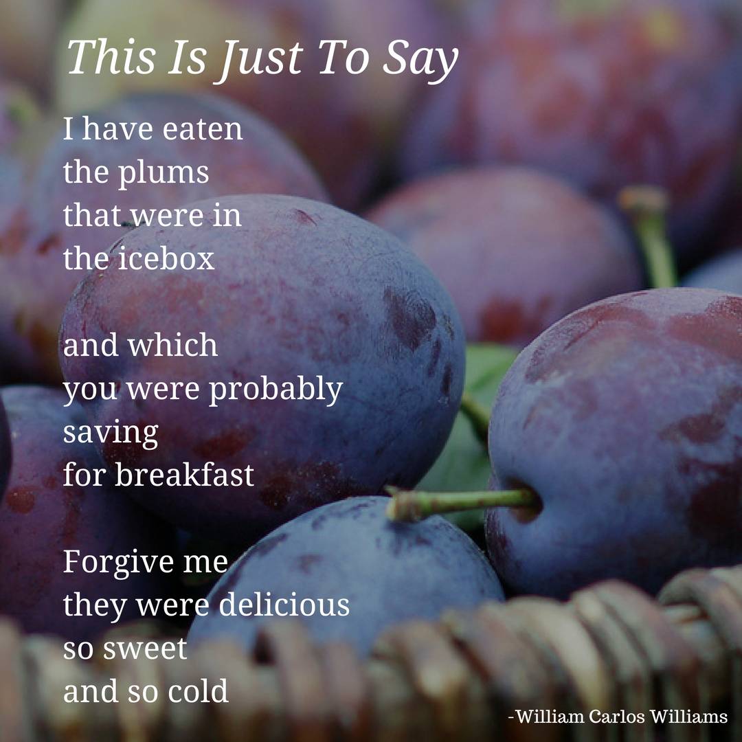 August marks the peak of plum season in Colorado. Head out this weekend to your community farmers market and see if your fruit vendor is selling any!

#plums
#coloradoag
#poetry
#williamcarloswilliams
#farmersmarket
#highlandsquare