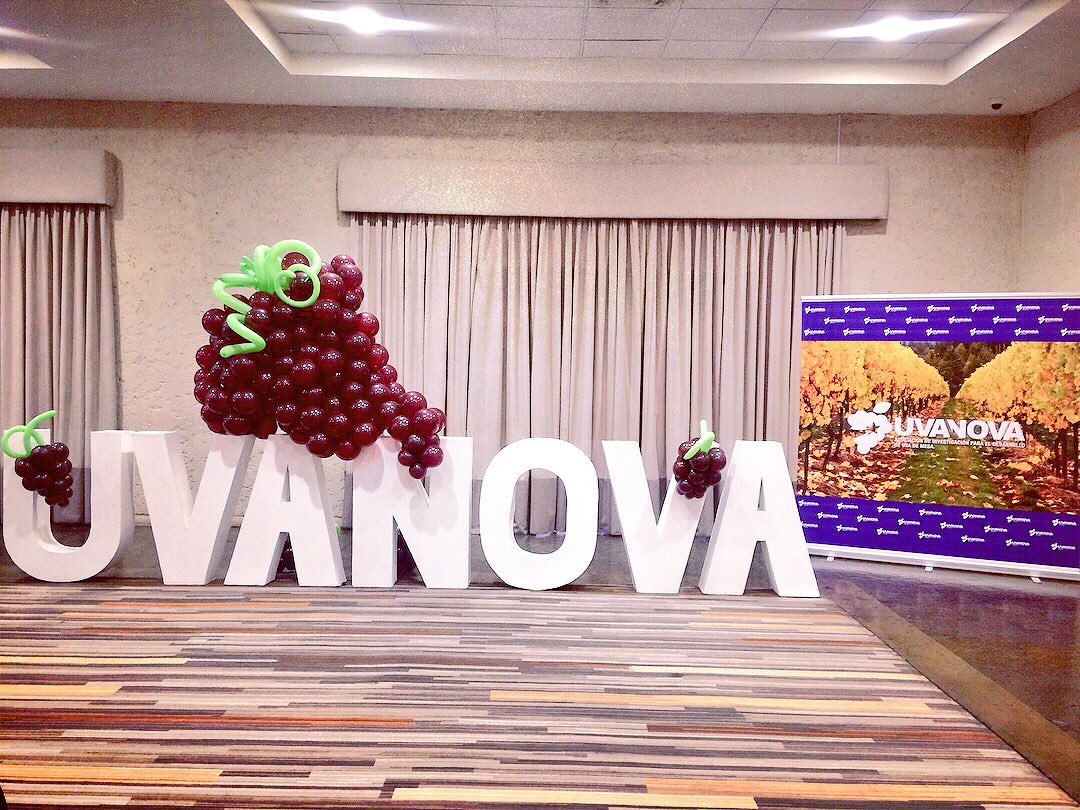 UvanovaChile's tweet photo. Ya estamos en el II seminario Uvanova "Desde la re - ingeniería a la revolución en la Uva de Mesa".

Porque en Chile y el mundo la uva de mesa es Uvanova 🇨🇱🍇

#uvademesa #uvanova #uvachilena https://t.co/2NSCiU2lZC