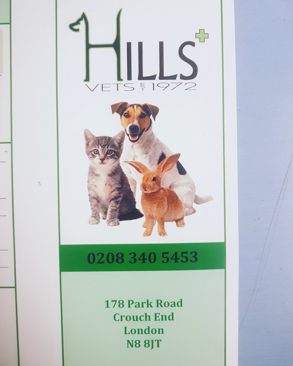 palacepro's tweet photo. @hillsvetsn8 community #vetenary  practice #crouchend #leaflets #northlondonprinters https://t.co/JZ2mtIjJ14
