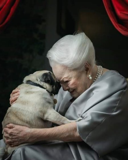 backlotsfilm's tweet photo. Olivia de Havilland shares some love with her pug, Oscar. Oscar is a relatively new addition to the de Havilland family and he's still technically a puppy...but he's clearly living his best life. Taken a couple of months ago by Laura Stevens of Variety. #FridayFeeling https://t.co/gMCWxGMH0B