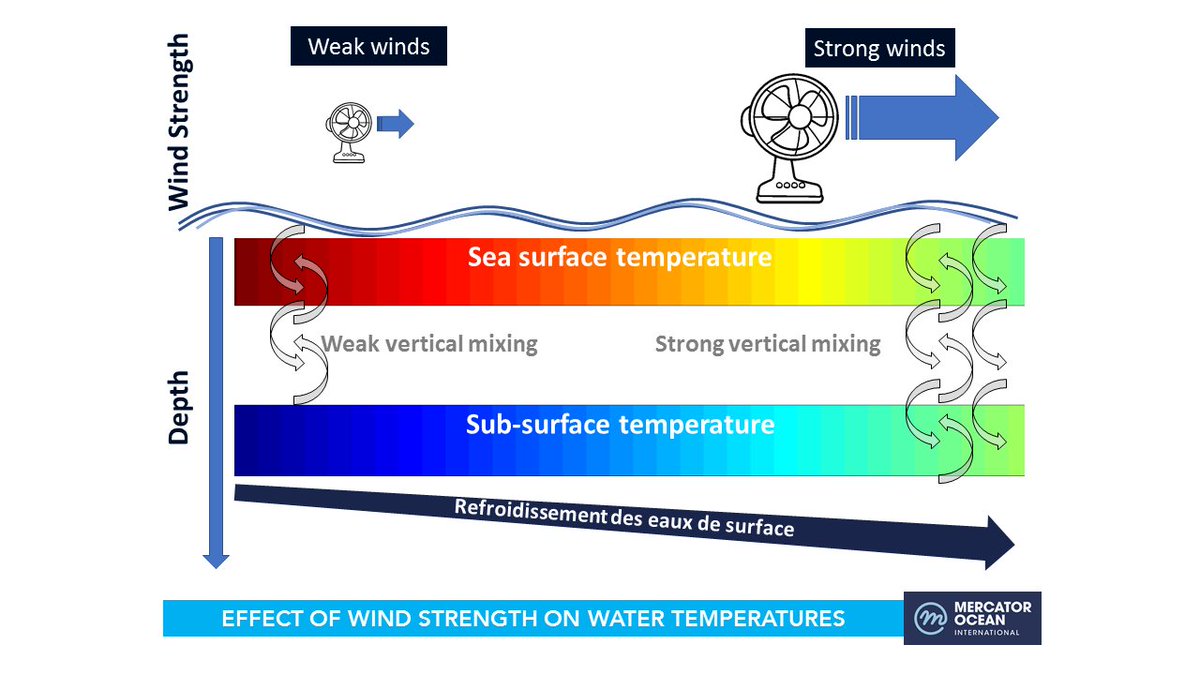 Sst Charts