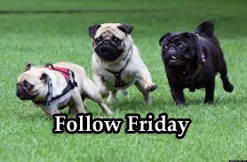 cheshireredhead's tweet image. #FF @Blueprintsmusic @Signs2Schools @microboxofx @Bexfez @abigaillawn1 @AutisticRainbo1 @GirlCop_Blue @mikecoulson48 @Thievesbook @merpoltraining @tisbutscratchs @rpuAFO @Imnotdavetoo2 @sharonwrdl @Mylosdogblog @AnthonyKivela @Bluestaffybell1 @DoctorKtoday @slater_vet