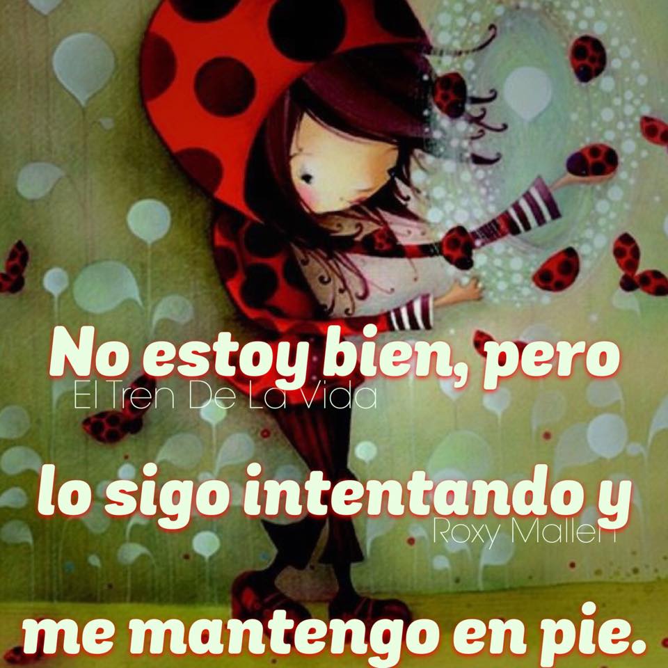 No estoy..........