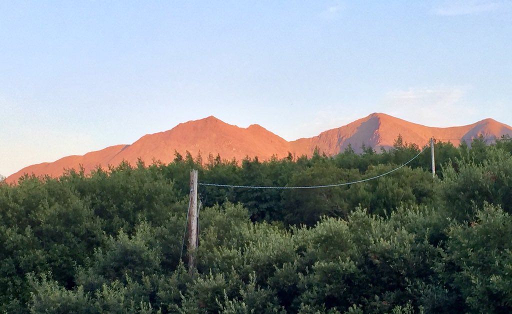 farrier1's tweet photo. Coolroe - Gaelic for red slope, living up to its name. #gealic #killarney #thisiskerry #NoPlaceLikeHome #carauntoohil https://t.co/4K9ucOI7rv