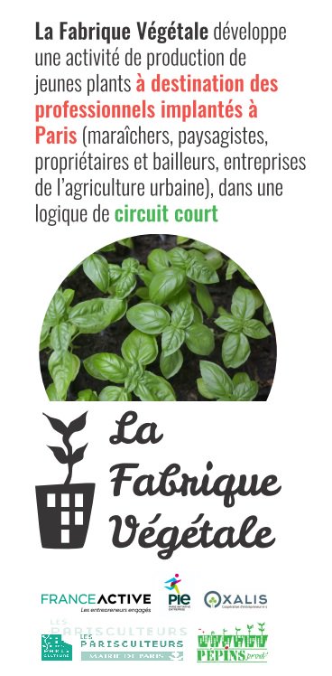 Pépins production cultive les jeunes plants à Paris pour approvisionner les Parisculteurs en économie circulaire, avec un projet social et solidaire. Prenez contact avec La Fabrique Végétale pour un partenariat ! #parisculteurs