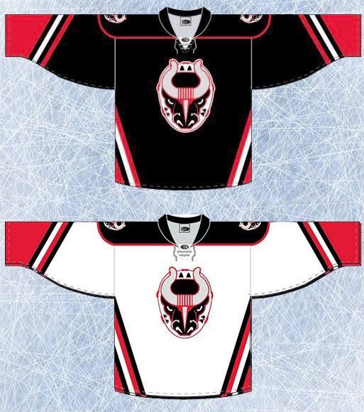 Birmingham Bulls Travel Hockey