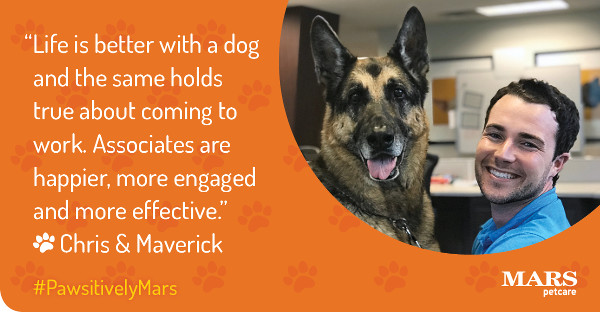 MarsPetcareUS's tweet photo. Why do #PetsWorkAtWork? When we asked our Associate Chris that question, he said: "How much time do you have? In all seriousness, there are too many benefits to list." #PawsitivelyMars https://t.co/puFCjTKleQ