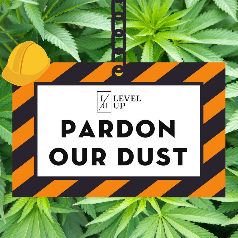 👷 Pardon our dust! 🚧 Our #Tempe location's parking lot is getting a facelift, but we're OPEN! Stop by for great deals on premium products!
.
.
.
#azmmj #azcannabis #asu #arizona #tempedispensary #azdispenary