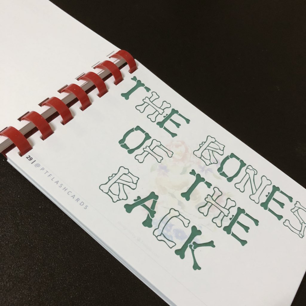 PTFlashcards's tweet photo. If you want to look more organised. π Just add 20 pesos for the ring bind. π Applicable in all flashcards we have. π€π #TheraExFlashcards #MOINAFlashcards #ROMFlashcards #BONESFlashcards π https://t.co/a4dX2UT6Dr