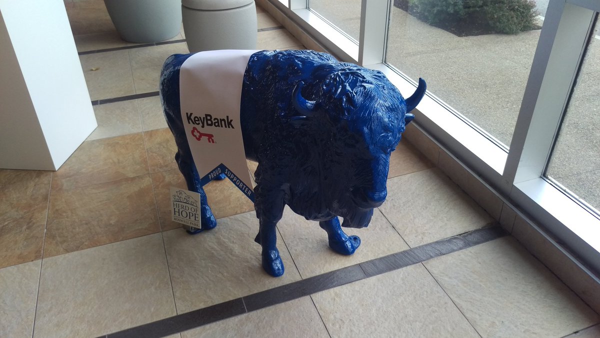 mcnamee_briana's tweet photo. You know you're in Nickel City when there are buffalo statues everywhere you go, scrolling feeds about the Bills preseason game on all the screens and the smell of Cheerios in the air. @belindaheckler1 @nyschoolboards #Good2BeHome https://t.co/VdcrLPVqCY