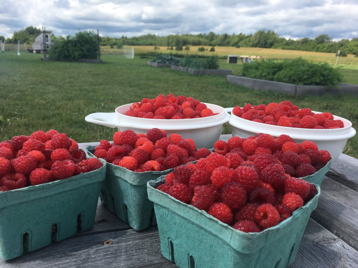 Rachel Schofield tweet media