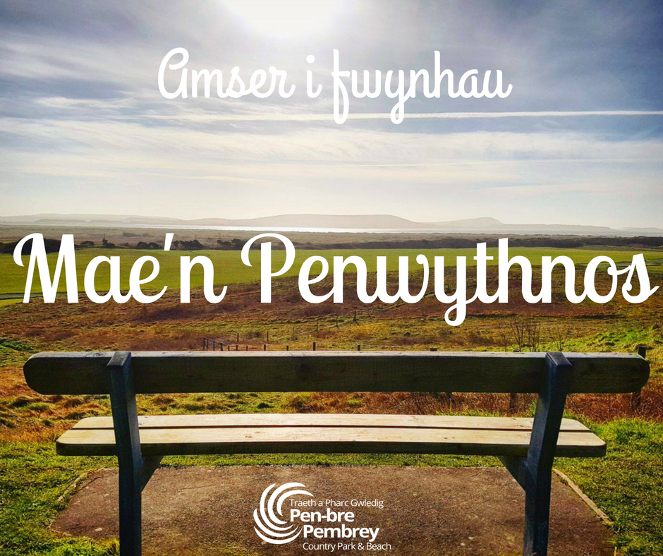 ParkPembrey's tweet photo. Ymlacio, Adnewyddu, Adfer y penwythnos hwn ym Mharc Gwledig Pen-bre 

Relax, Renew, Refresh this weekend at Pembrey Country Park @ParkPembrey. 
Tag us in your weekend photos #wherememoriesaremade https://t.co/c27oLlvFiQ