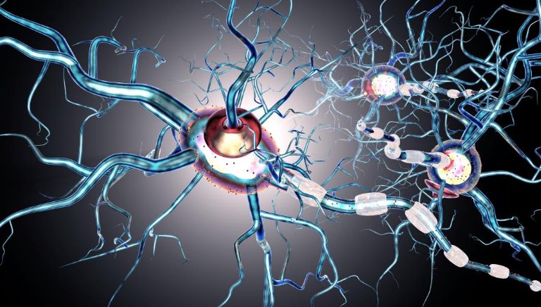 What is MS? Read some fast facts to help you understand more about it here: smarturl.it/MedicalNews