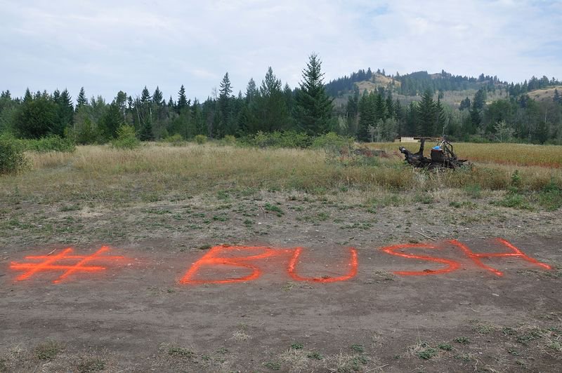PLUGINICA's tweet photo. Join us for our second public program for Summer Institute Session II: Site/ation with BUSH gallery, Tuesday, August 14 at 6pm! Everyone welcome! https://t.co/NsOHxXqern
#finditdowntown #winnipegfree #wpgevent https://t.co/jDC8c1MaDG