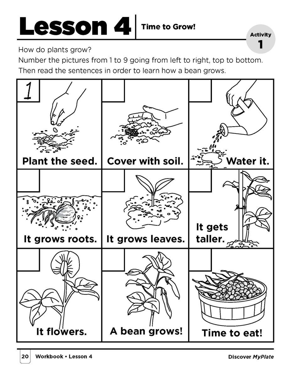 Plants task. Plants Worksheets. Сад Worksheets for Kids. Plants in English Worksheets. Growing Plants Worksheets.