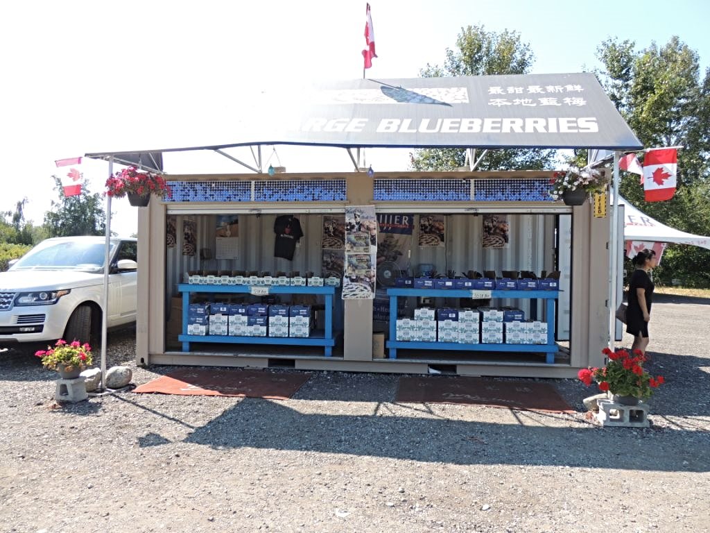 Who said containers can't be healthy? Our client at is using one of our c-cans to sell his product, delicious blueberries. #containerwest #richmondcontainers #modcontainer