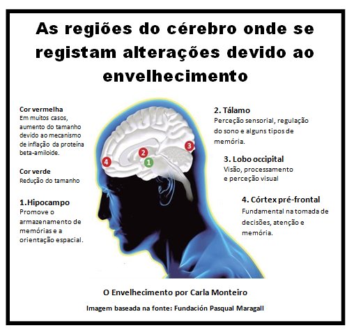 Envelhecimentcm's tweet photo. ENVELHECIMENTO CEREBRAL https://t.co/eDu9Btv60p https://t.co/Ic9xzjGP7H