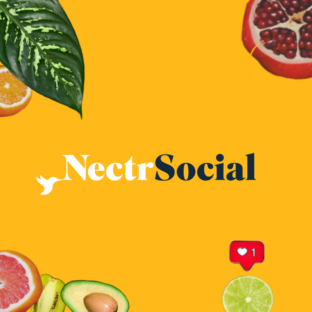 Nectr Social tweet media
