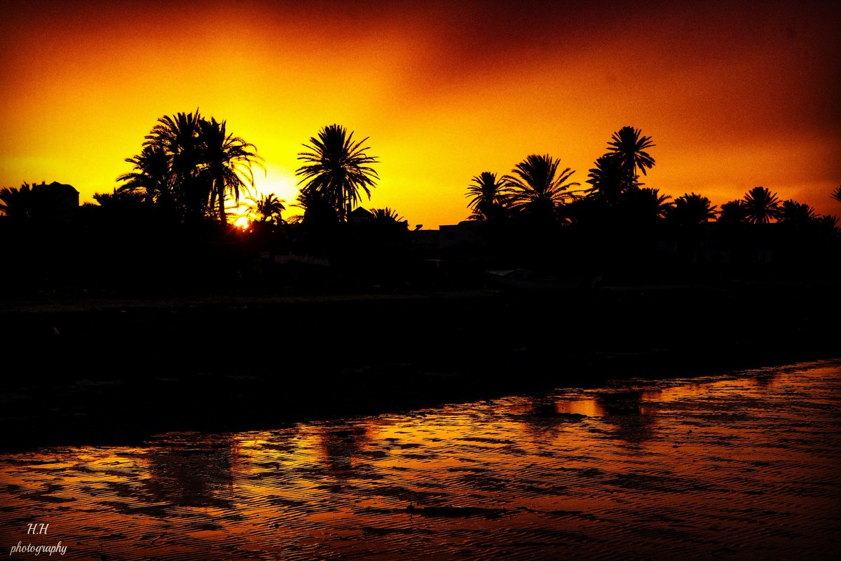 houssem933's tweet photo. Taken by @houssem933
H.H photography
#tunisie🇹🇳 #jarjis #sunset #summer #sea #naturephotography #nature #naturelovers #photography #canon #canon_photos #remance #love #PicturePerfectPhotos https://t.co/IIlAaz397p